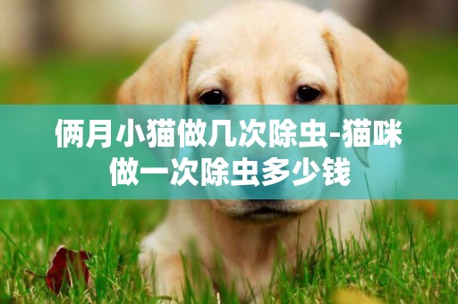 倆月小貓做幾次除蟲-貓咪做一次除蟲多少錢