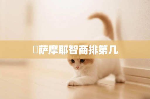?薩摩耶智商排第幾