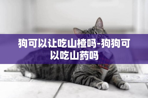 狗可以讓吃山楂嗎-狗狗可以吃山藥嗎