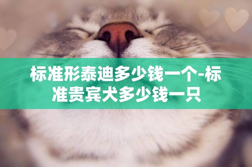 標準形泰迪多少錢一個-標準貴賓犬多少錢一只