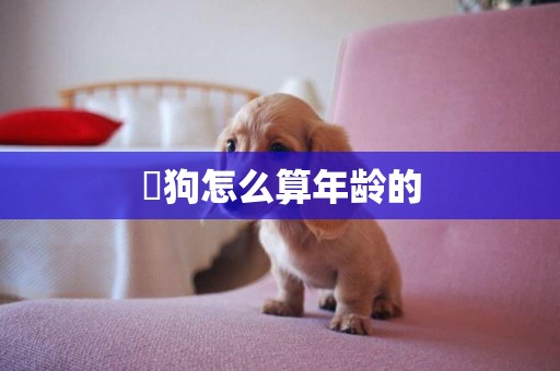 ?狗怎么算年齡的
