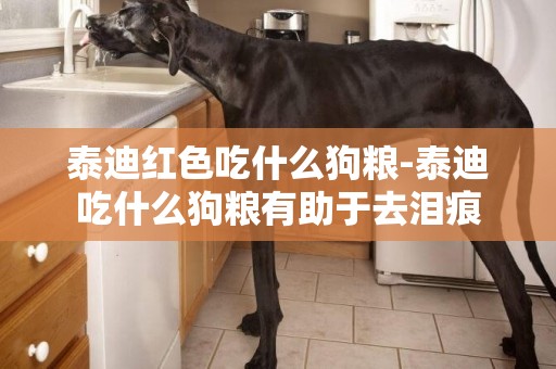 泰迪紅色吃什么狗糧-泰迪吃什么狗糧有助于去淚痕