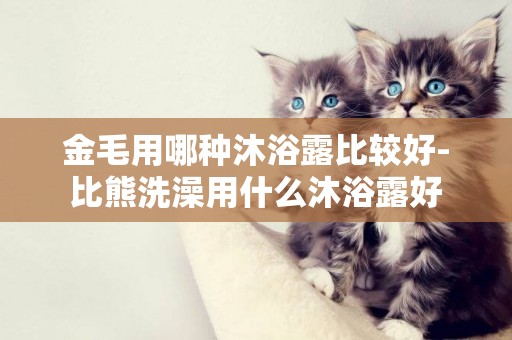 金毛用哪種沐浴露比較好-比熊洗澡用什么沐浴露好