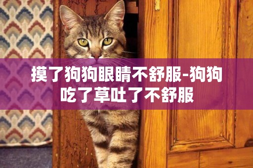 摸了狗狗眼睛不舒服-狗狗吃了草吐了不舒服