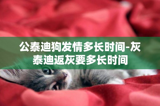公泰迪狗發情多長時間-灰泰迪返灰要多長時間