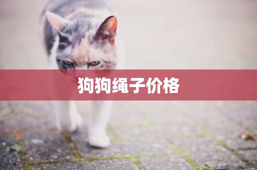 狗狗繩子價格