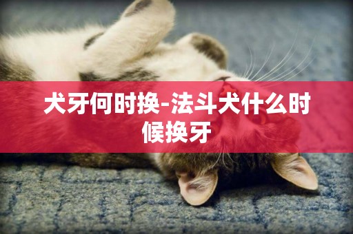 犬牙何時換-法斗犬什么時候換牙