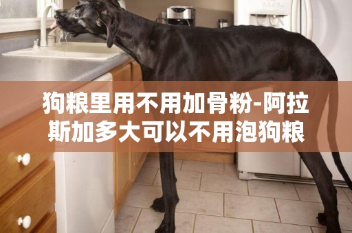 狗糧里用不用加骨粉-阿拉斯加多大可以不用泡狗糧
