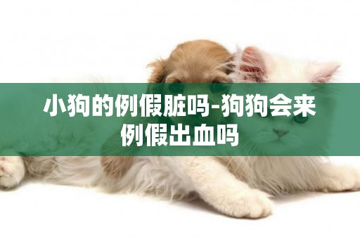 小狗的例假臟嗎-狗狗會來例假出血嗎