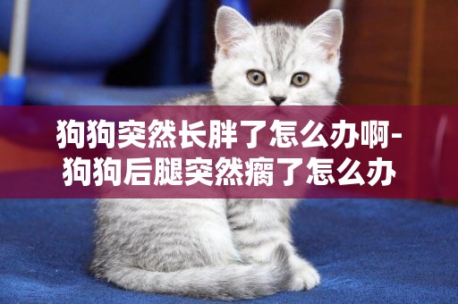 狗狗突然長胖了怎么辦啊-狗狗后腿突然瘸了怎么辦