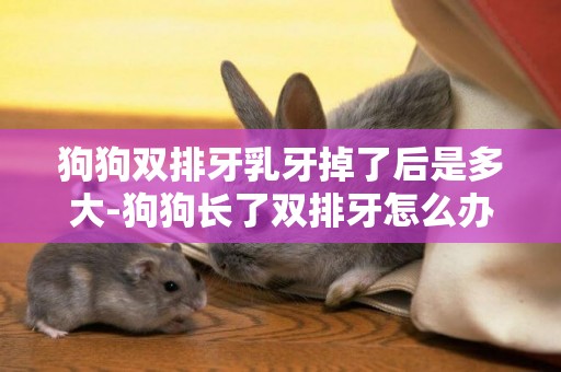 狗狗雙排牙乳牙掉了后是多大-狗狗長了雙排牙怎么辦