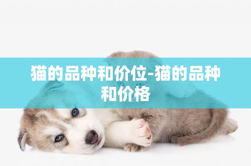 貓的品種和價位-貓的品種和價格