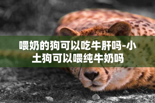 喂奶的狗可以吃牛肝嗎-小土狗可以喂純牛奶嗎