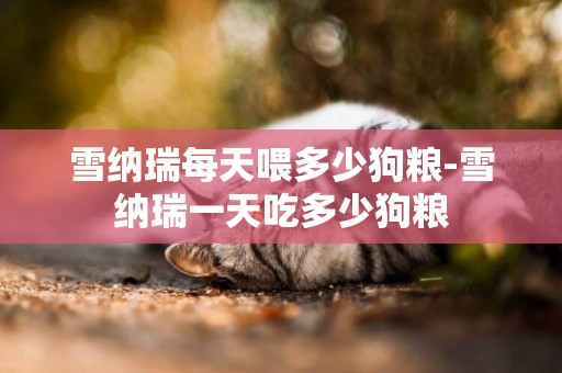 雪納瑞每天喂多少狗糧-雪納瑞一天吃多少狗糧