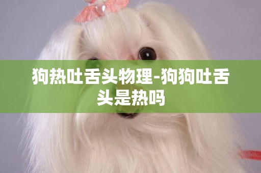狗熱吐舌頭物理-狗狗吐舌頭是熱嗎
