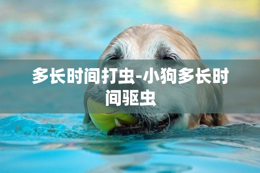 多長時間打蟲-小狗多長時間驅蟲