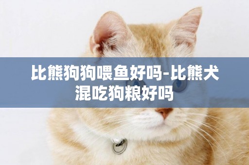 比熊狗狗喂魚好嗎-比熊犬混吃狗糧好嗎