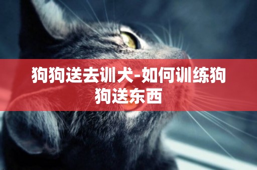 狗狗送去訓犬-如何訓練狗狗送東西