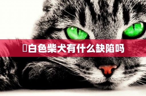 ?白色柴犬有什么缺陷嗎