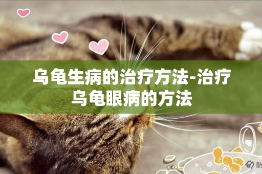 烏龜生病的治療方法-治療烏龜眼病的方法