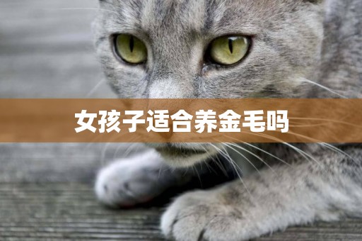 女孩子適合養金毛嗎