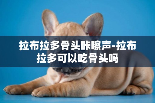 拉布拉多骨頭咔嚓聲-拉布拉多可以吃骨頭嗎