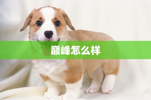 巔峰怎么樣