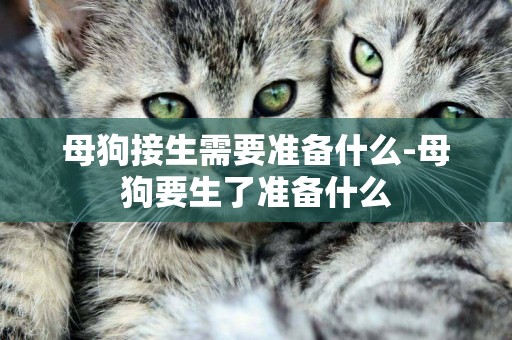 母狗接生需要準備什么-母狗要生了準備什么