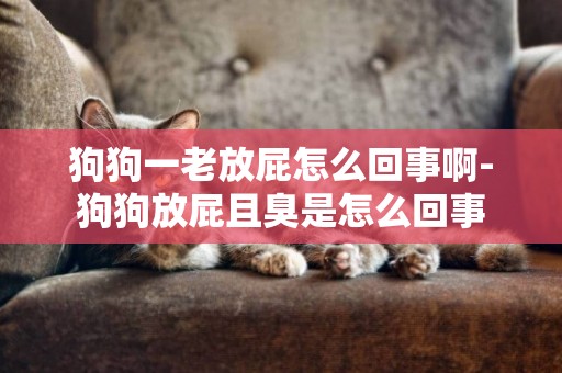 狗狗一老放屁怎么回事啊-狗狗放屁且臭是怎么回事
