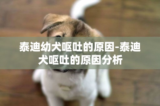 泰迪幼犬嘔吐的原因-泰迪犬嘔吐的原因分析