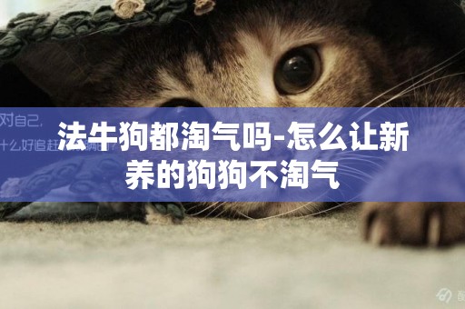 法牛狗都淘氣嗎-怎么讓新養的狗狗不淘氣