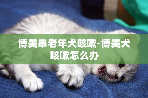 博美串老年犬咳嗽-博美犬咳嗽怎么辦