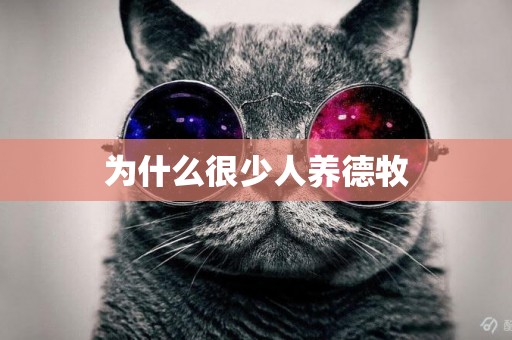 為什么很少人養德牧 為什么很少人養德牧