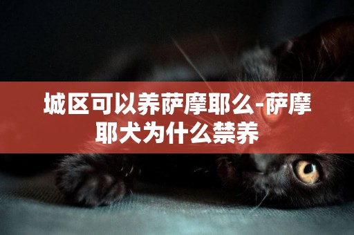 城區可以養薩摩耶么-薩摩耶犬為什么禁養