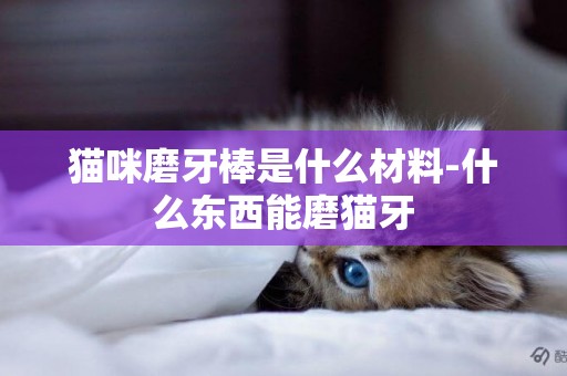 貓咪磨牙棒是什么材料-什么東西能磨貓牙