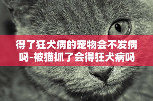得了狂犬病的寵物會不發病嗎-被貓抓了會得狂犬病嗎