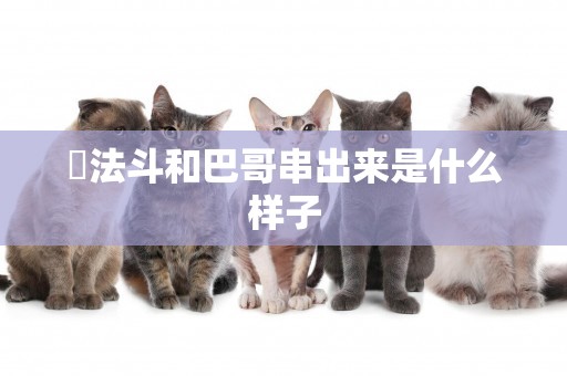 ?法斗和巴哥串出來是什么樣子