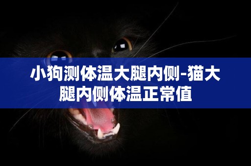 小狗測體溫大腿內側-貓大腿內側體溫正常值