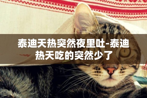 泰迪天熱突然夜里吐-泰迪熱天吃的突然少了