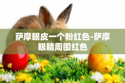 薩摩眼皮一個粉紅色-薩摩眼睛周圍紅色