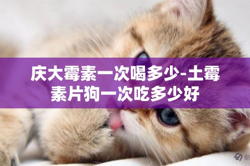 慶大霉素一次喝多少-土霉素片狗一次吃多少好
