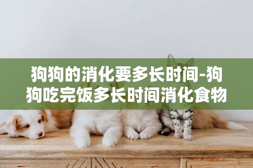 狗狗的消化要多長時間-狗狗吃完飯多長時間消化食物