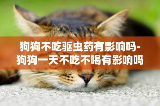 狗狗不吃驅蟲藥有影響嗎-狗狗一天不吃不喝有影響嗎