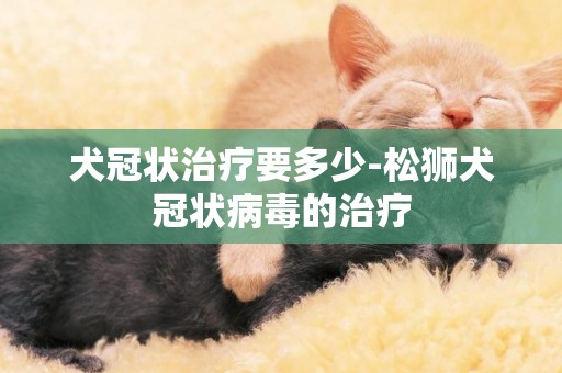 犬冠狀治療要多少-松獅犬冠狀病毒的治療