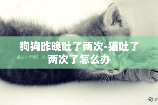 狗狗昨晚吐了兩次-貓吐了兩次了怎么辦