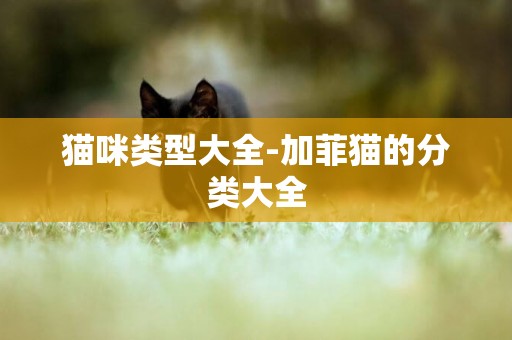 貓咪類型大全-加菲貓的分類大全