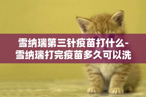 雪納瑞第三針疫苗打什么-雪納瑞打完疫苗多久可以洗澡