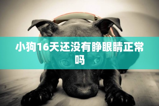 小狗16天還沒有睜眼睛正常嗎
