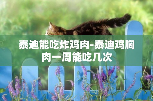泰迪能吃炸雞肉-泰迪雞胸肉一周能吃幾次