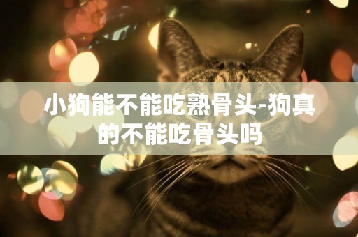 小狗能不能吃熟骨頭-狗真的不能吃骨頭嗎